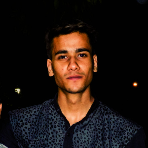 Mohd. Rushan, SEO Executive